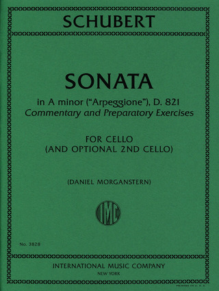 Sonata In A Minor D 821 (SCHUBERT FRANZ)
