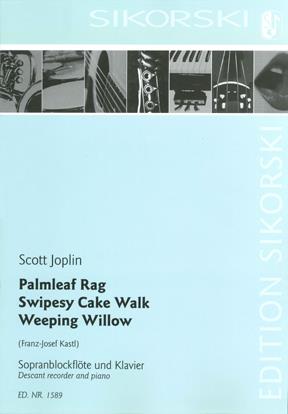 Palmleaf Rag - Swipesy Cake (JOPLIN / KASTL)