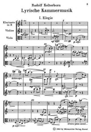 Cadences Op. 15 (Pour Le Concerto